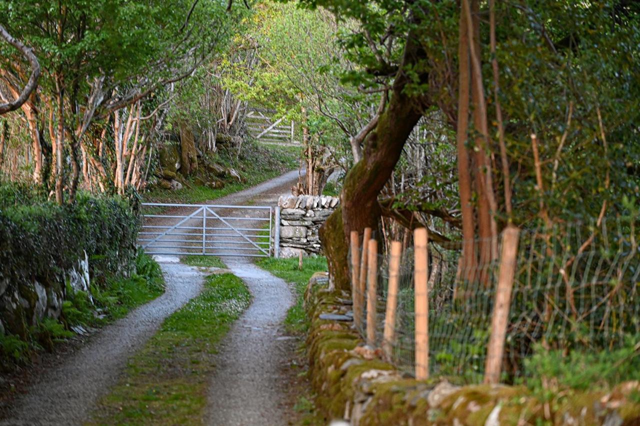 Ty Gwennol Near Gilfach Goch Apartment Ланбедър Екстериор снимка